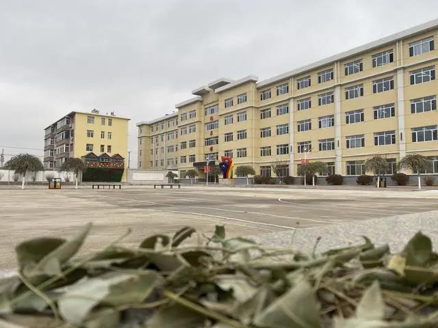 沈陽校園文化設(shè)計，遼寧學(xué)校校園創(chuàng)意設(shè)計【專業(yè)】